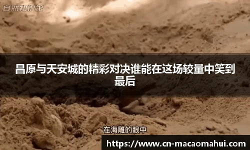 昌原与天安城的精彩对决谁能在这场较量中笑到最后