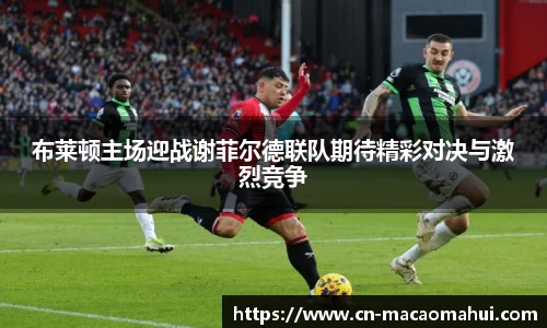 布莱顿主场迎战谢菲尔德联队期待精彩对决与激烈竞争