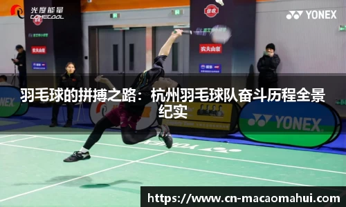 羽毛球的拼搏之路：杭州羽毛球队奋斗历程全景纪实